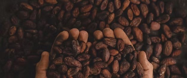 味果冻」东鹏2025三季度营收同比增长3036%一周热闻AG真人澳门百家家乐康师傅×疯狂动物城上新「冻冻茶冰红茶(图10)